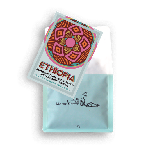 Ethiopia | Banko Chelchele Cold Anaerobic Natural