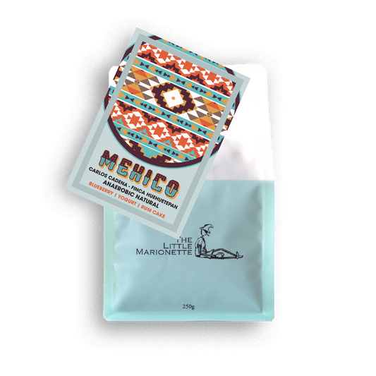 Mexico | Finca Huehuetepan Anaerobic Natural