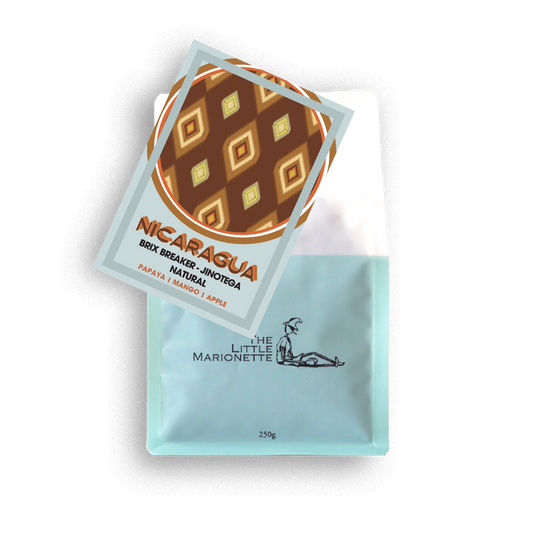 Nicaragua | Pacamara Brix Breaker