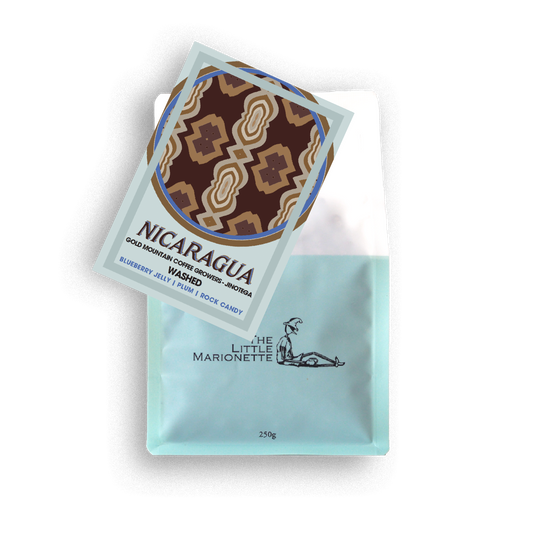 Nicaragua | Jinotega Maracaturra Washed